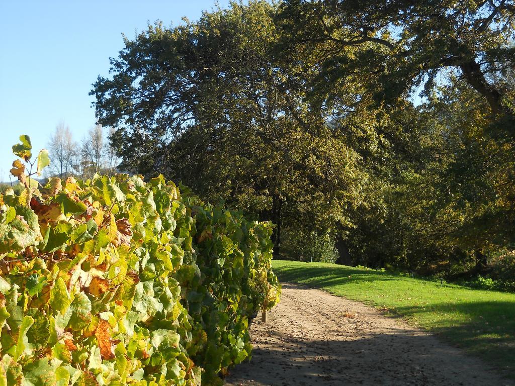 Auberge Clermont Franschhoek Exteriér fotografie