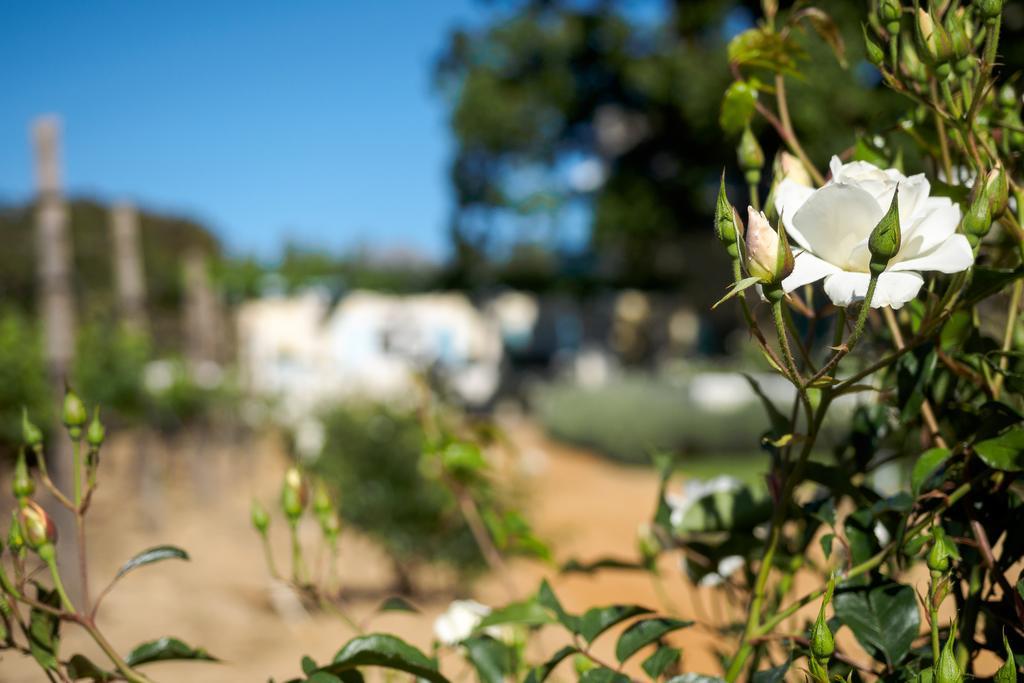 Auberge Clermont Franschhoek Exteriér fotografie