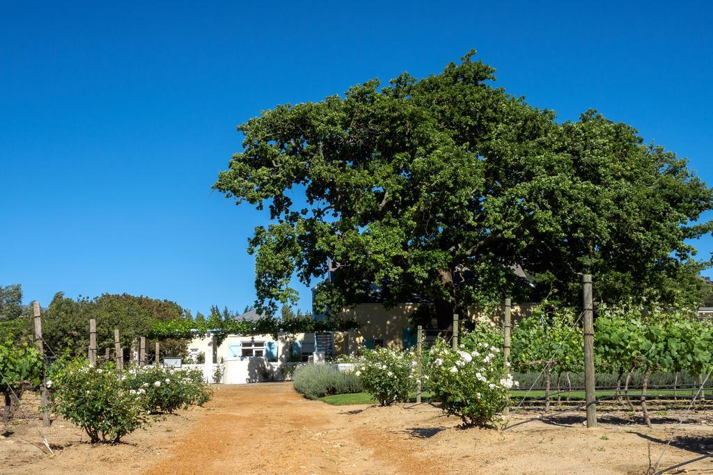 Auberge Clermont Franschhoek Exteriér fotografie