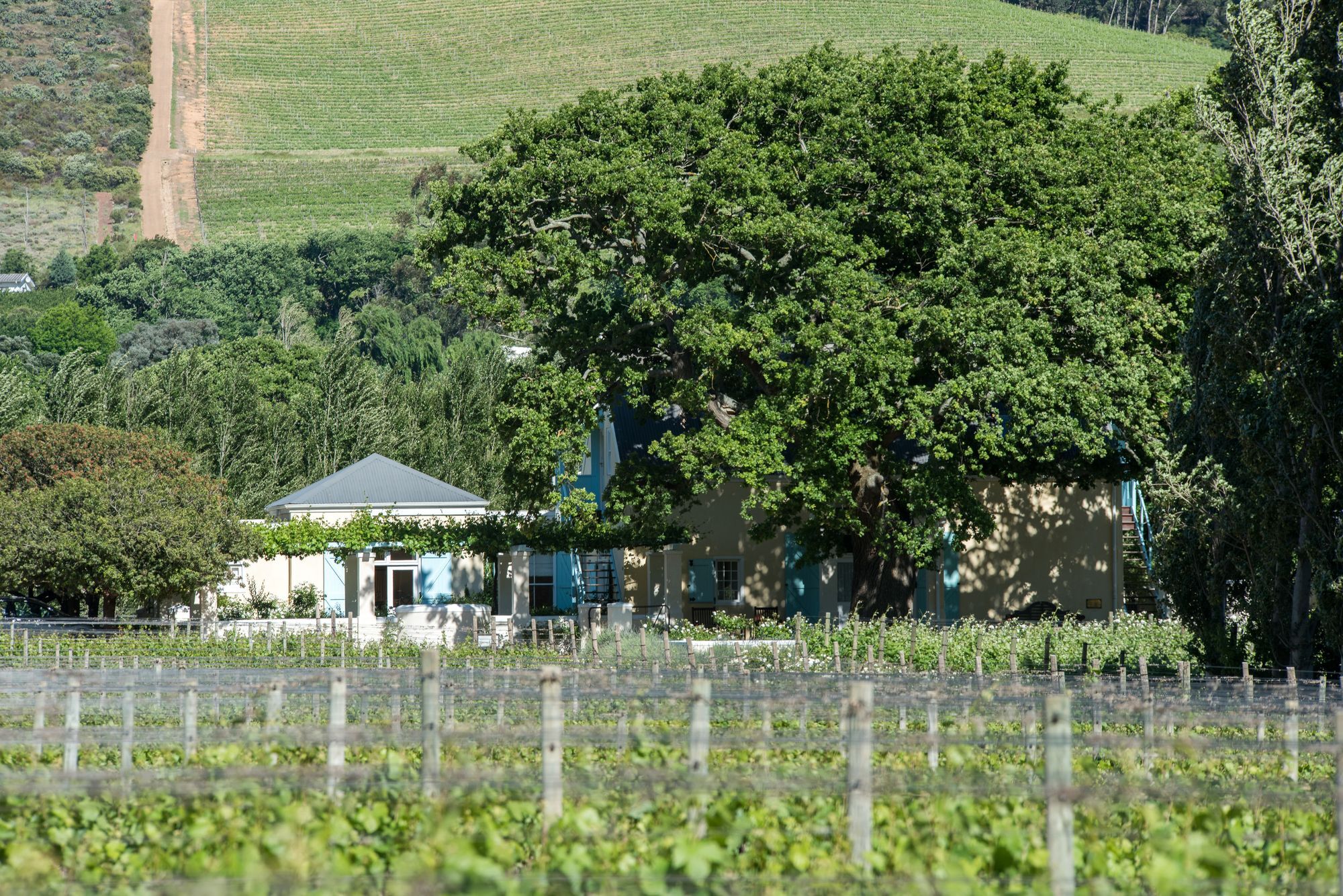 Auberge Clermont Franschhoek Exteriér fotografie